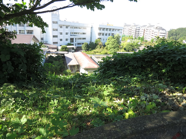 九兵衛坂公園から見る別所中学校