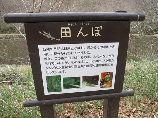 田んぼ・水車小屋と長池に行く看板