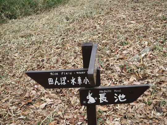 田んぼ・水車小屋と長池に行く看板