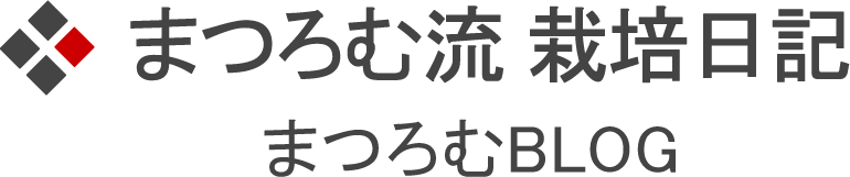 オリーブ栽培の豆知識_まつろむ流栽培日記